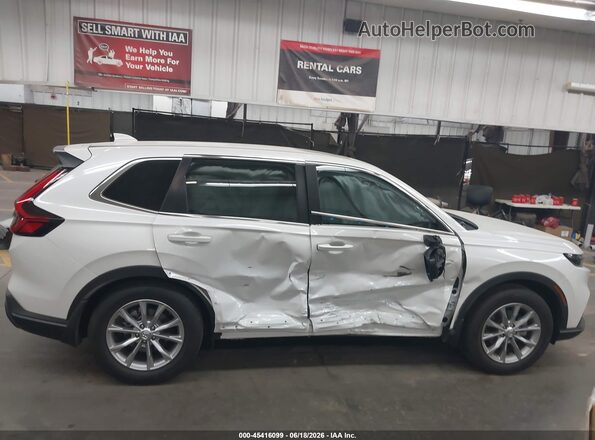 2HKRS3H49SH334818 2025 HONDA CR-V Gray Widok wnętrza z tyłu