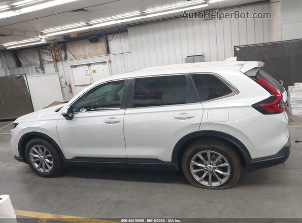2HKRS3H49SH334818 2025 HONDA CR-V Gray Widok wnętrza 360 stopni