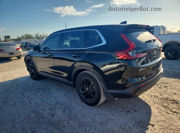 2HKRS3H78RH312572 2024 HONDA CR-V Black უკანა მარცხენა