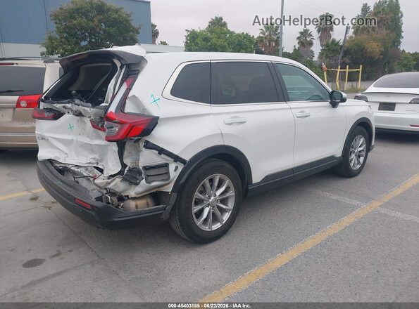 2HKRS3H78RH320509 2024 HONDA CR-V White უკანა მარჯვენა