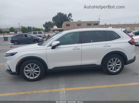 2HKRS3H78RH320509 2024 HONDA CR-V White 