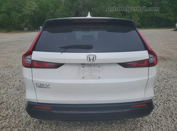 2HKRS4H46RH407160 2024 HONDA CR-V Белый 