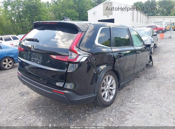 2HKRS4H48RH455629 2024 HONDA CR-V Black Tył prawy