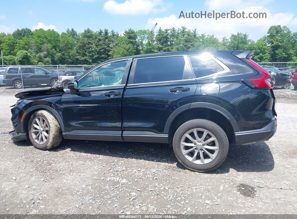 2HKRS4H48RH455629 2024 HONDA CR-V Black Widok wnętrza 360 stopni