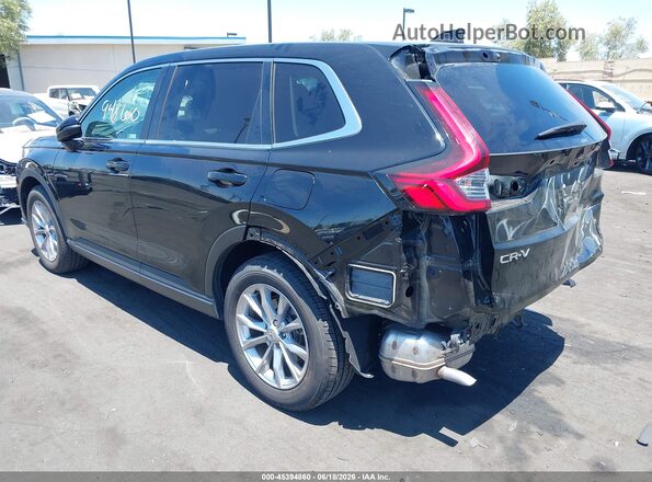 2HKRS4H49RH406424 2024 HONDA CR-V Черный Задняя левая четверть