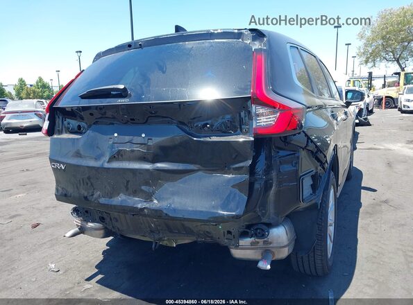 2HKRS4H49RH406424 2024 HONDA CR-V Черный Вид спереди