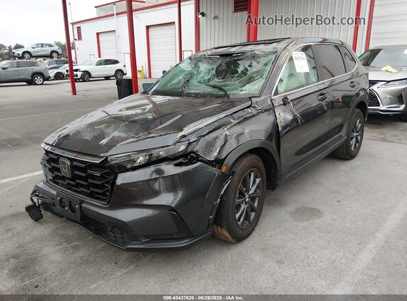 2HKRS4H76TH443433 2026 HONDA CR-V Gray Vista tres cuartos delantera izquierda