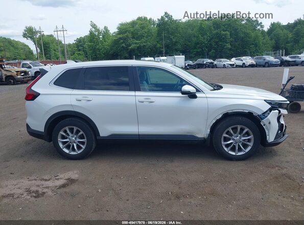 2HKRS4H78SH403157 2025 HONDA CR-V White Widok wnętrza z tyłu