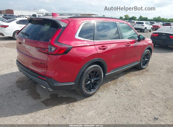 2HKRS5H53PH715558 2023 HONDA CR-V Red Tył prawy