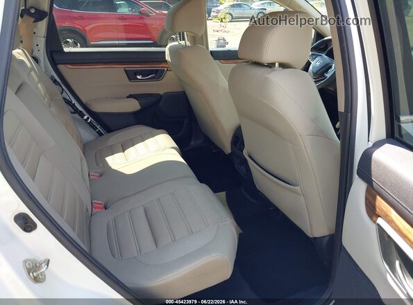 2HKRW1H55HH504232 2017 HONDA CR-V White VIN կոդի պիտակի տեսք