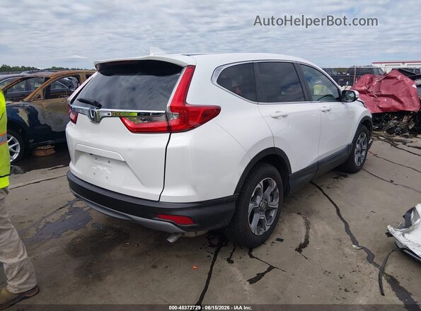 2HKRW1H82KH509812 2019 HONDA CR-V Белый Задняя правая четверть