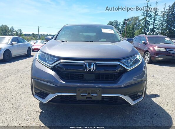 2HKRW2H51MH652989 2021 HONDA CR-V Gray Սալոնի հետևի տեսք