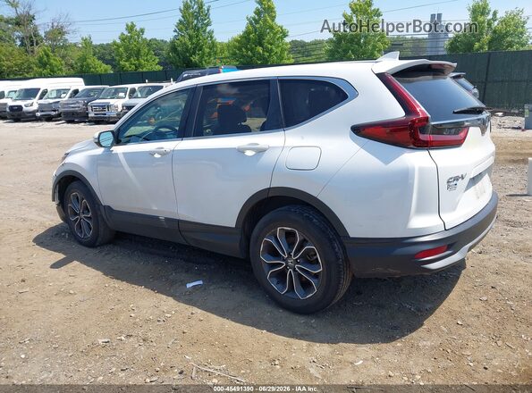 2HKRW2H59MH600302 2021 HONDA CR-V White Задня ліва чверть