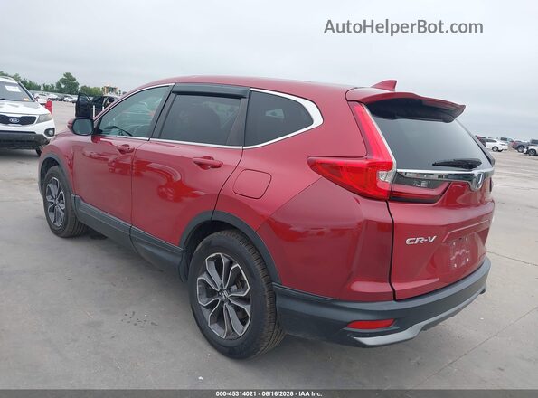 2HKRW2H84LH611765 2020 HONDA CR-V Burgundy Задня ліва чверть