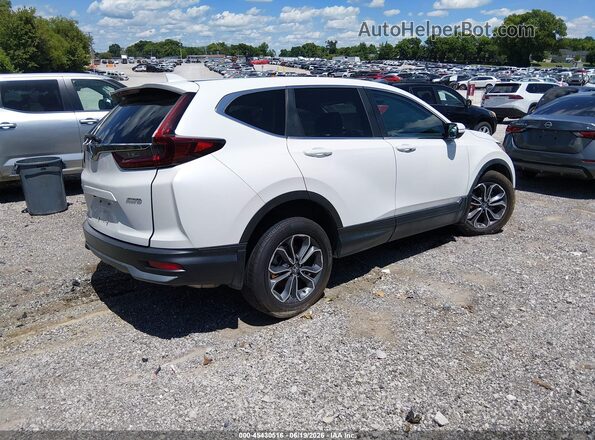 2HKRW2H87LH613638 2020 HONDA CR-V White Հետևի աջ