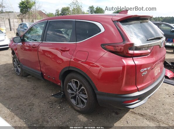 2HKRW2H87LH620864 2020 HONDA CR-V Red უკანა მარცხენა
