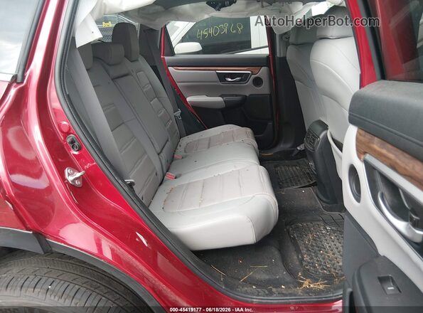 2HKRW2H87LH620864 2020 HONDA CR-V Red VIN კოდის სტიკერის ხედი