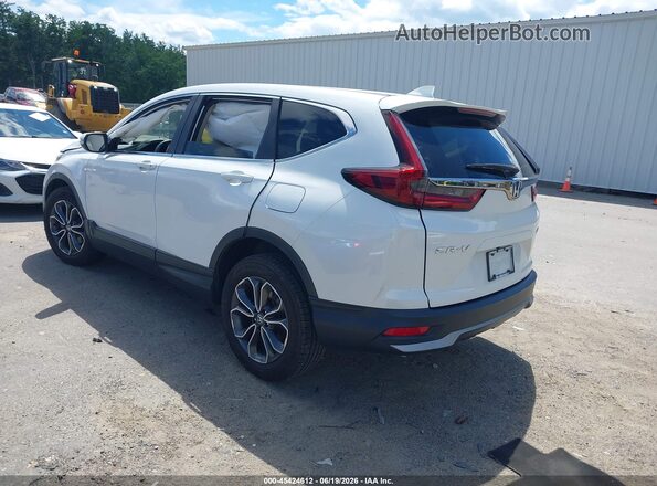 2HKRW2H87LH700228 2020 HONDA CR-V Белый Задняя левая четверть