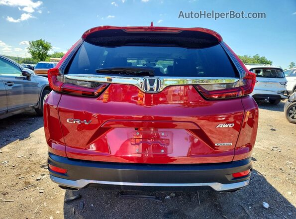 2HKRW2H93LH633779 2020 HONDA CR-V Red Widok z tyłu