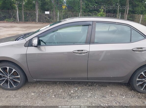 2T1BURHE2KC171116 2019 TOYOTA COROLLA Brown Սալոնի 360 աստիճան տեսք