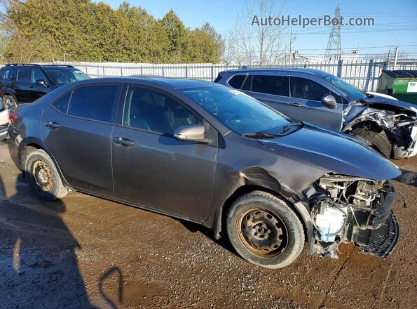 2T1BURHE6KC210239 2019 TOYOTA COROLLA Brown 
