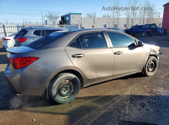 2T1BURHE6KC210239 2019 TOYOTA COROLLA Brown 
