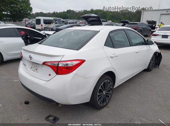 2T1BURHE8GC493623 2016 TOYOTA COROLLA White უკანა მარჯვენა