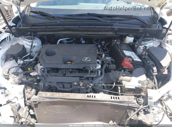 2T2ADCAZ0SC025427 2025 LEXUS NX 250 White Հետևի տեսք