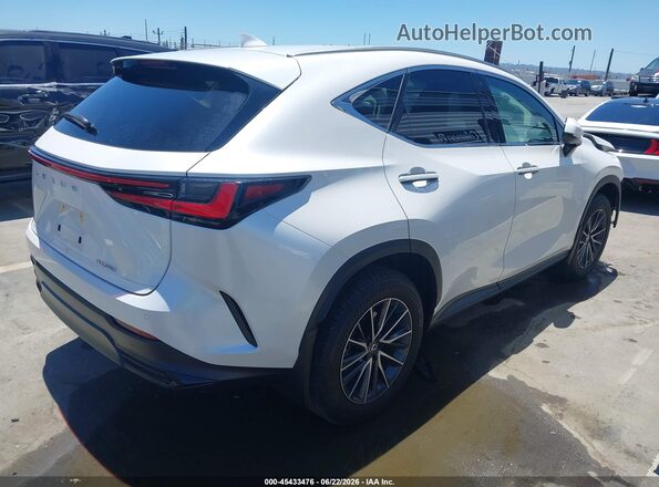2T2ADCAZ0SC025427 2025 LEXUS NX 250 White Հետևի աջ