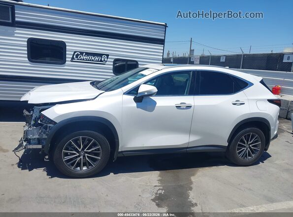 2T2ADCAZ0SC025427 2025 LEXUS NX 250 White 