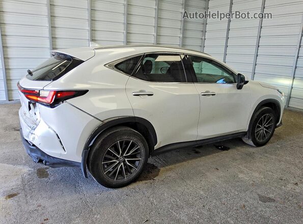 2T2ADCAZ1NC001559 2022 LEXUS NX White 