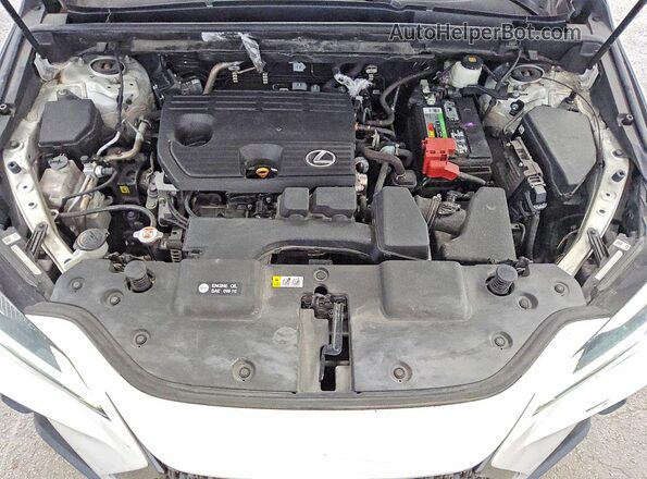 2T2ADCAZ1NC001559 2022 LEXUS NX White 