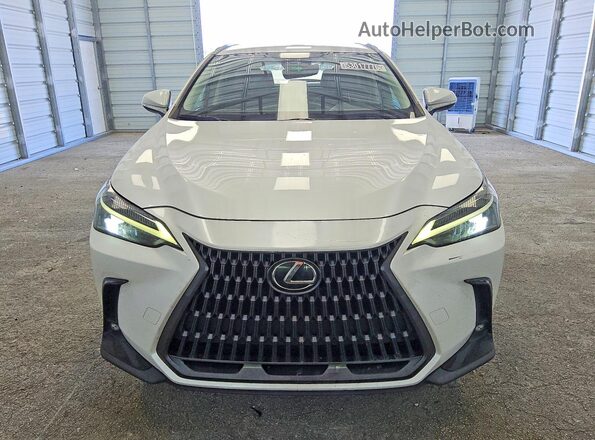 2T2ADCAZ1NC001559 2022 LEXUS NX White 