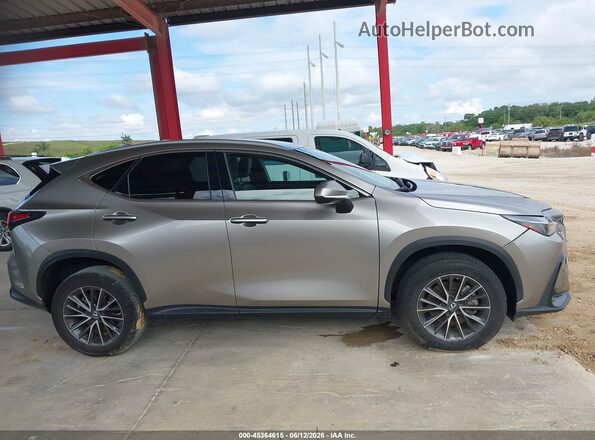 2T2ADCAZ1NC002744 2022 LEXUS NX 250 Champagne Սալոնի հետևի տեսք