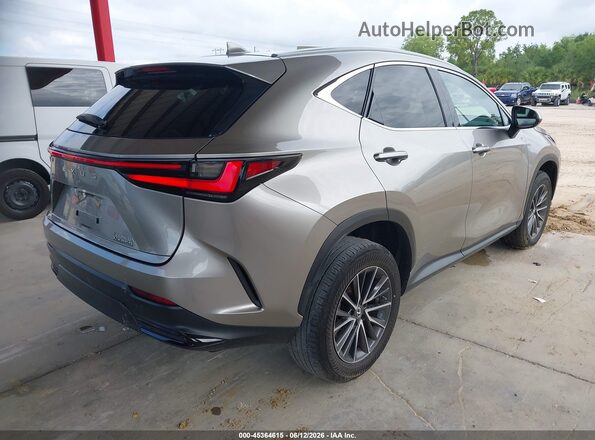 2T2ADCAZ1NC002744 2022 LEXUS NX 250 Champagne Հետևի աջ