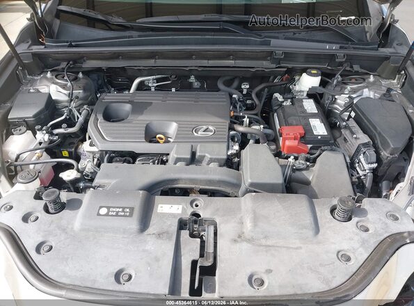 2T2ADCAZ1NC002744 2022 LEXUS NX 250 Champagne Հետևի տեսք
