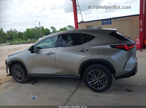 2T2ADCAZ1NC002744 2022 LEXUS NX 250 Champagne Սալոնի 360 աստիճան տեսք