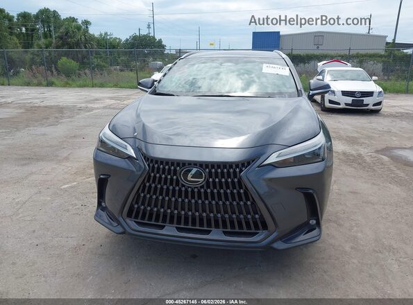 2T2ADCAZ1RC013751 2024 LEXUS NX 250 Gray Rear interior view