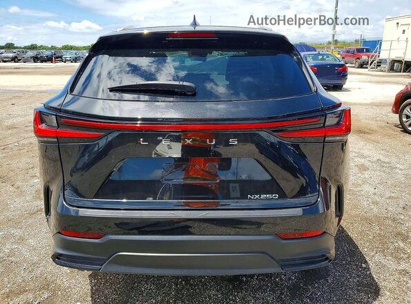 2T2ADCAZ2RC010874 2024 LEXUS NX Black 