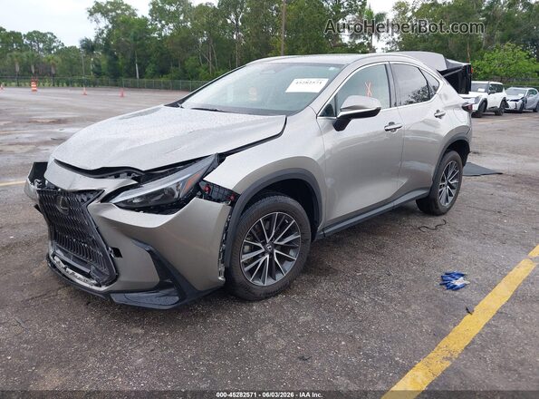 2T2ADCAZ4PC004748 2023 LEXUS NX 250 Silver Передня ліва чверть