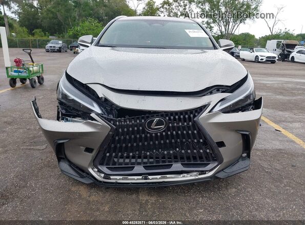 2T2ADCAZ4PC004748 2023 LEXUS NX 250 Silver Вид щитка приладів