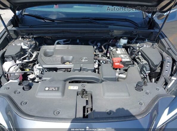 2T2ADCAZ4SC019954 2025 LEXUS NX 250 Gray Widok z tyłu