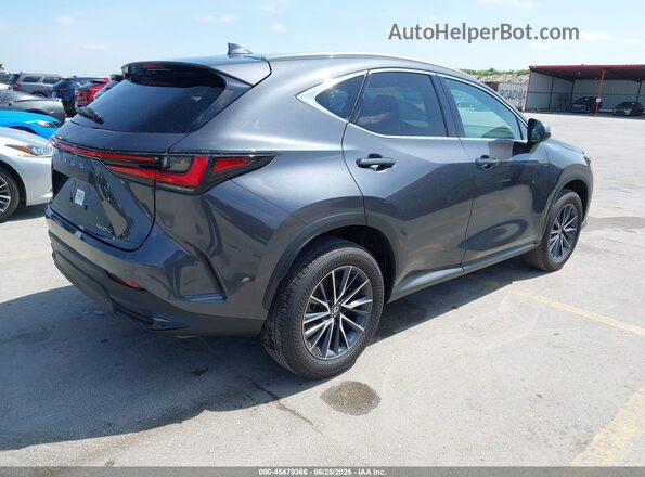 2T2ADCAZ4SC019954 2025 LEXUS NX 250 Gray Tył prawy