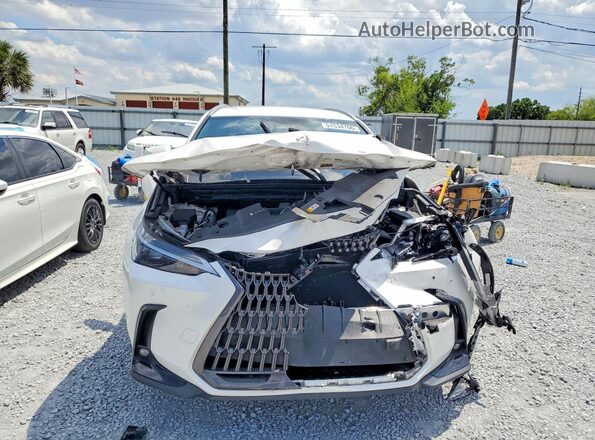 2T2ADCAZ7SC018913 2025 LEXUS NX White წინა ხედი