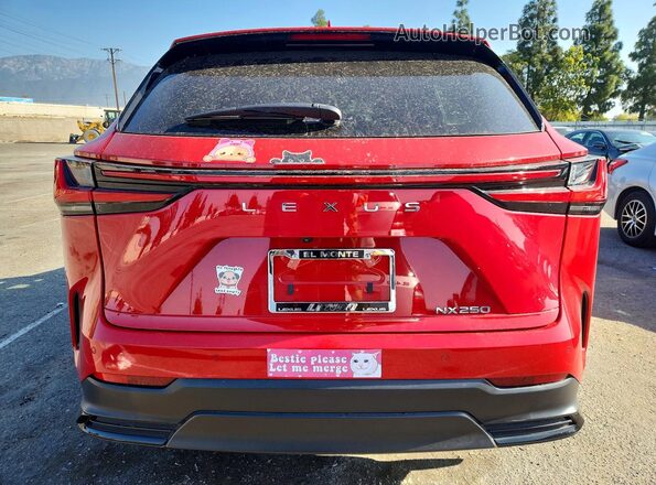2T2ADCAZ8SC021187 2025 LEXUS NX Red 