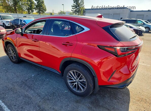 2T2ADCAZ8SC021187 2025 LEXUS NX Red 