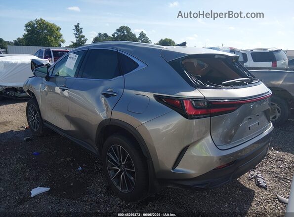 2T2ADCAZ9SC031033 2025 LEXUS NX 250 Silver უკანა მარცხენა