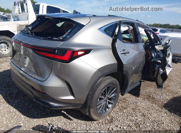 2T2ADCAZ9SC031033 2025 LEXUS NX 250 Silver უკანა მარჯვენა