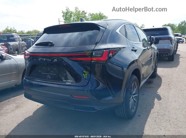 2T2ADCEZXPC002626 2023 LEXUS NX 250 Black Trasero derecho