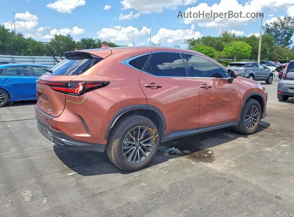 2T2AGCEZ3TC104254 2026 LEXUS NX Brown 